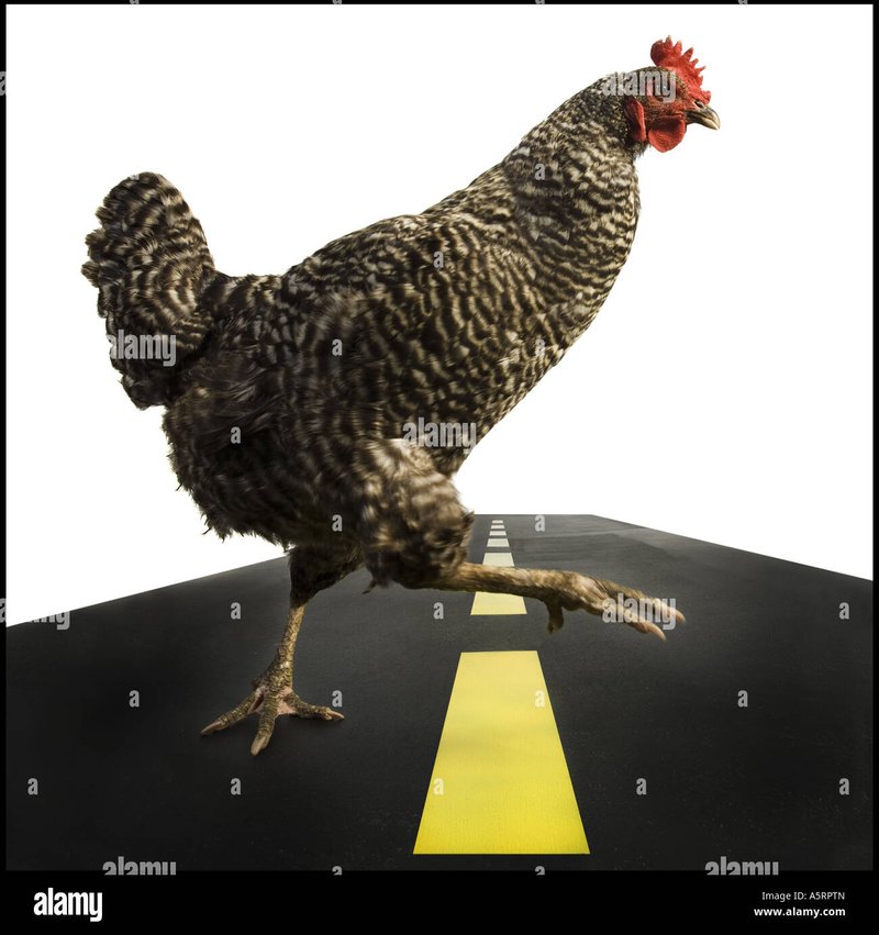 Descubre el Emocionante Juego de Azar de la Carretera del Pollo en España